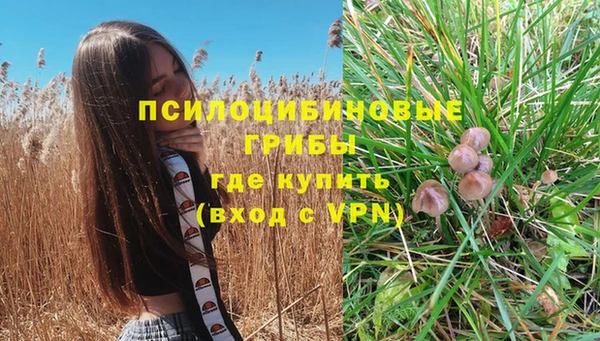 PSILOCYBIN Алзамай