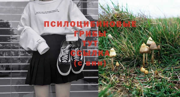 МДПВ Абинск