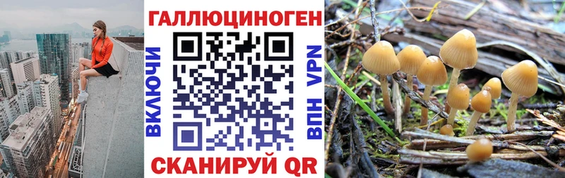 Галлюциногенные грибы ЛСД  даркнет сайт  Красково 